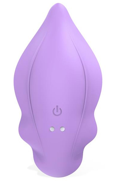 Donnyel Panty Vibe With G-spot Ball & Remote Control