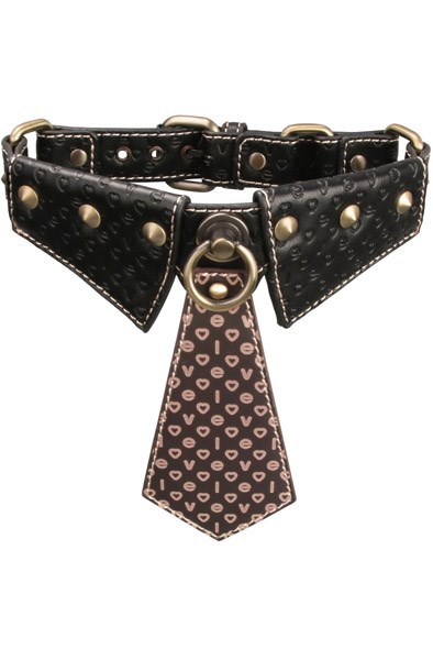 Lovetoy Rebellion Reign Collar With Chain