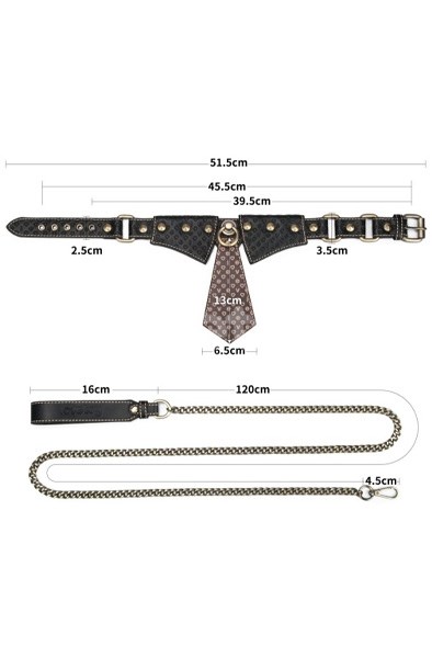 Lovetoy Rebellion Reign Collar With Chain