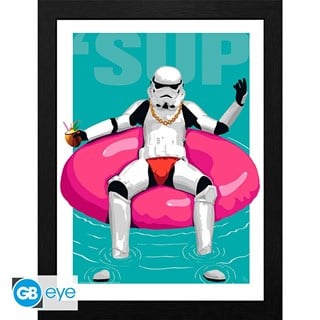 Original Stormtrooper - Framed Print "pool Boy" (30x40)